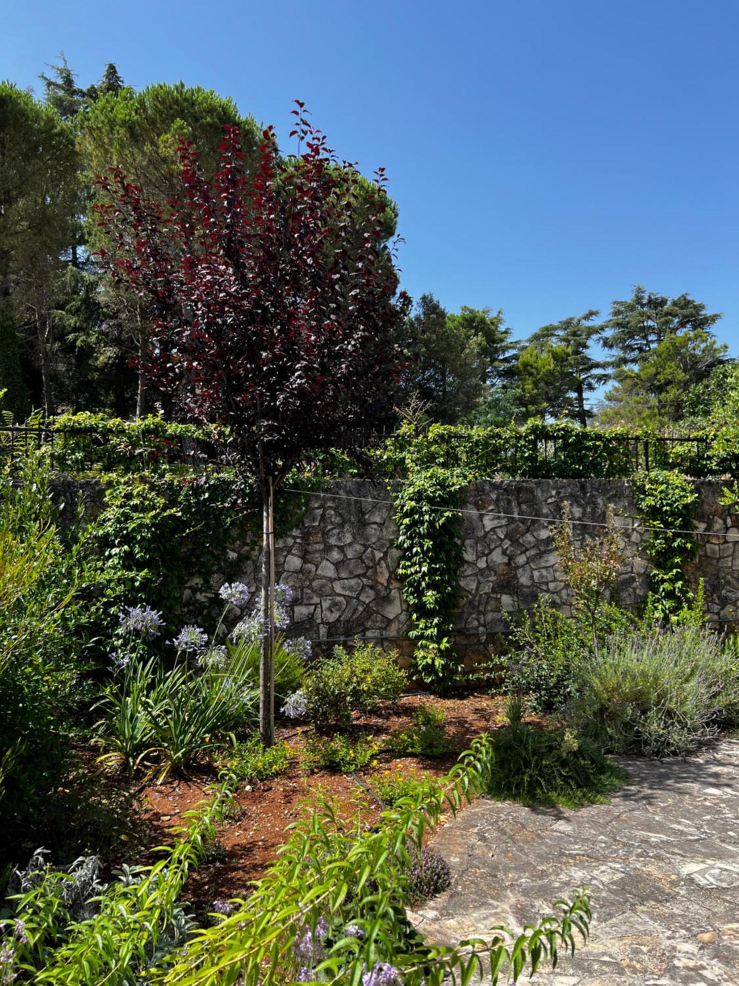 Dimora Di Bari Villa Селва ди Фасано Екстериор снимка